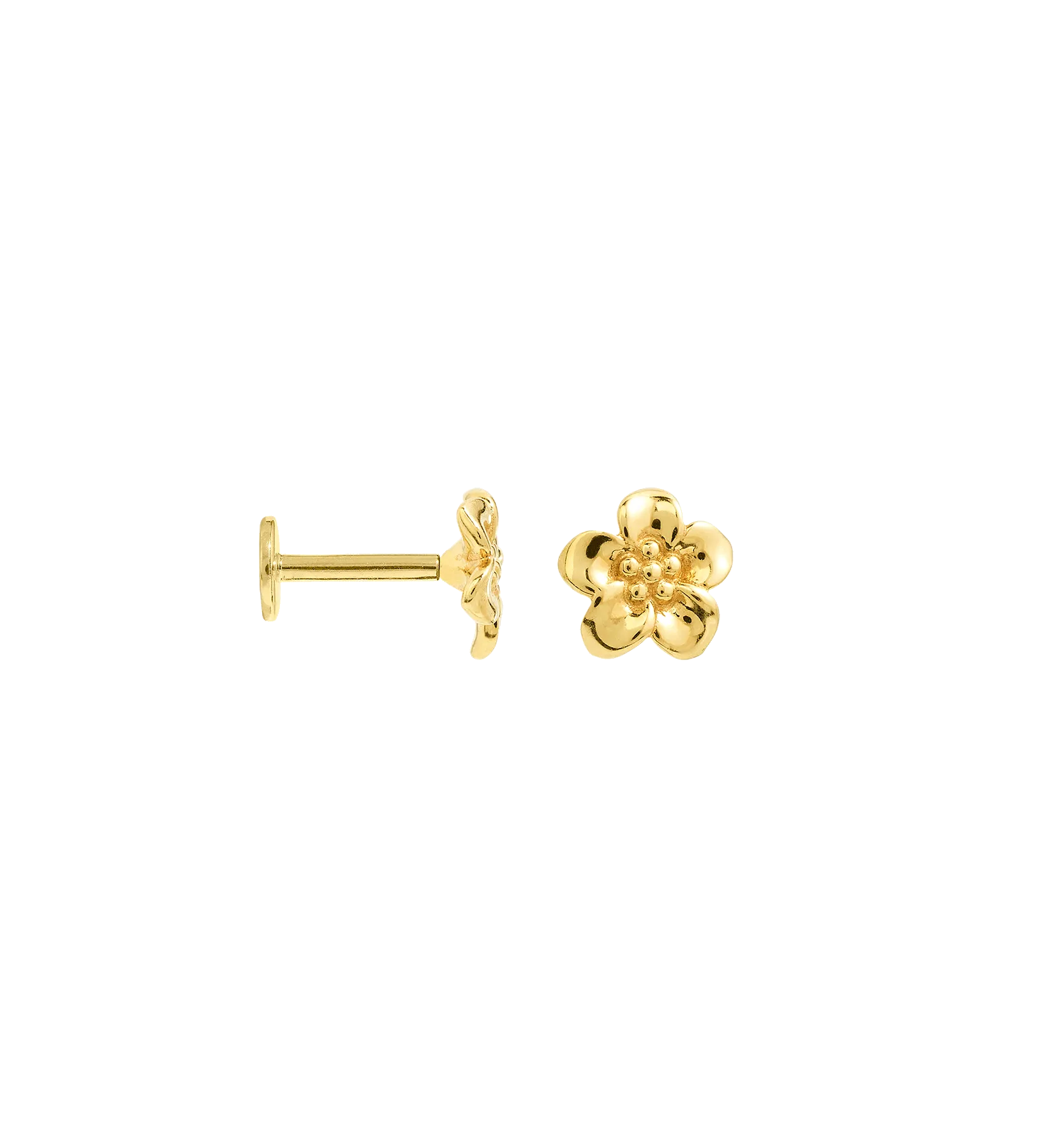 Flower Boy Piercing Front 14K